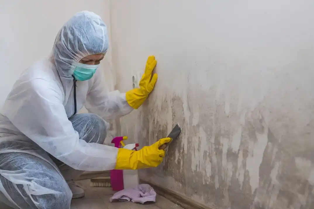 water damage restoration service Shavano Heights